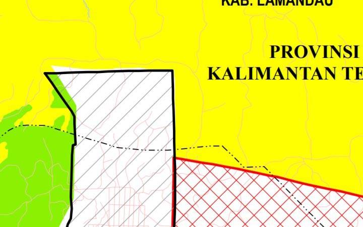 Bupati Lamandau Sikapi Dugaan Perambahan Hutan 2 Perusahaan Sawit