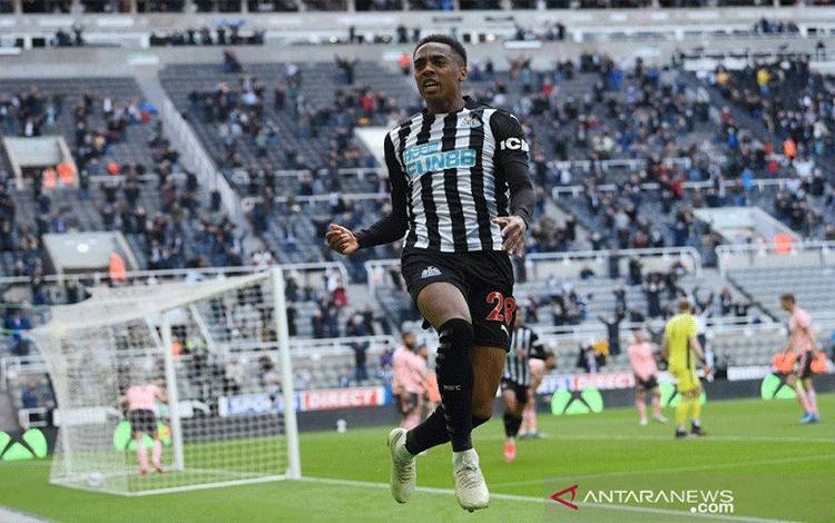Joe Willock Cetak Rekor Saat Bantu Newcastle Kalahkan Sheffield