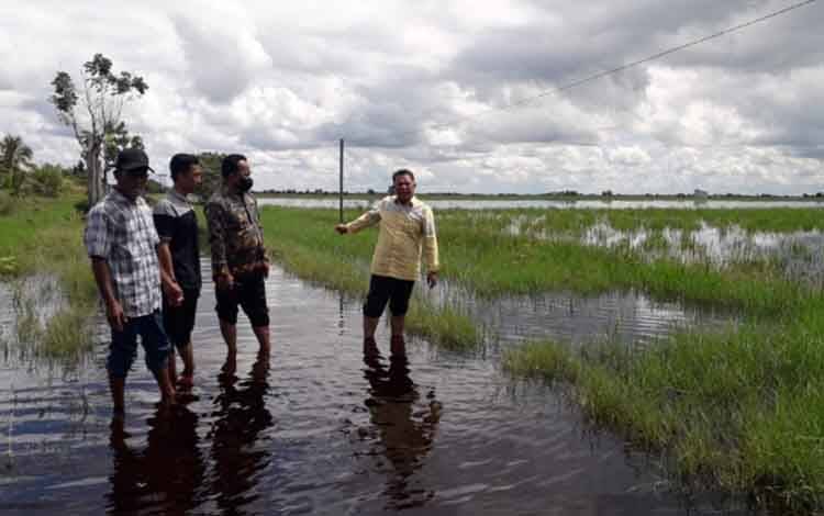 3.500 Hektare Lahan Pertanian Warga Desa Lampuyang Terancam Gagal Panen