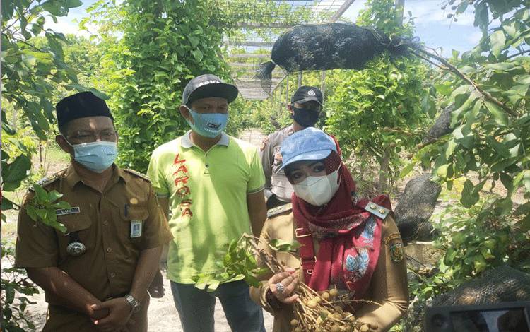 Pasien Sembuh COVID-19 di Palangka Raya Bertambah 21 Menjadi 5.654