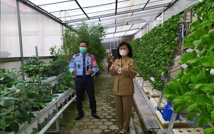 Bapas Pangkalan Bun Gandeng DKP Kobar Beri Pembekalan Warga Binaan Pengelolaan Hidroponik