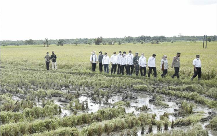 Komisi III DPRD Kalteng Apresiasi Keseriusan Pemerintah Dukung Food Estate