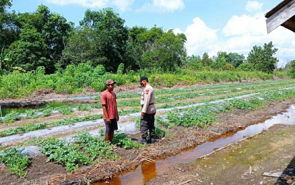 Personel Polsek Kapuas Murung Rutin Motivasi Pekebun