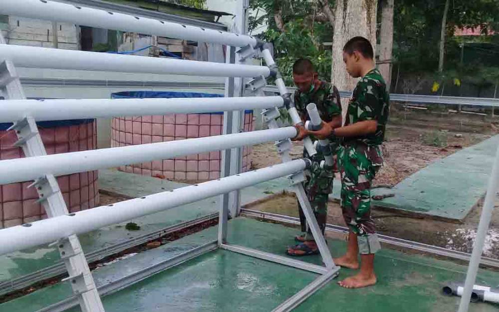 Wujdukan Kemandirian Pangan, Kodim Pangkalan Bun Kembangkan Hidroponik