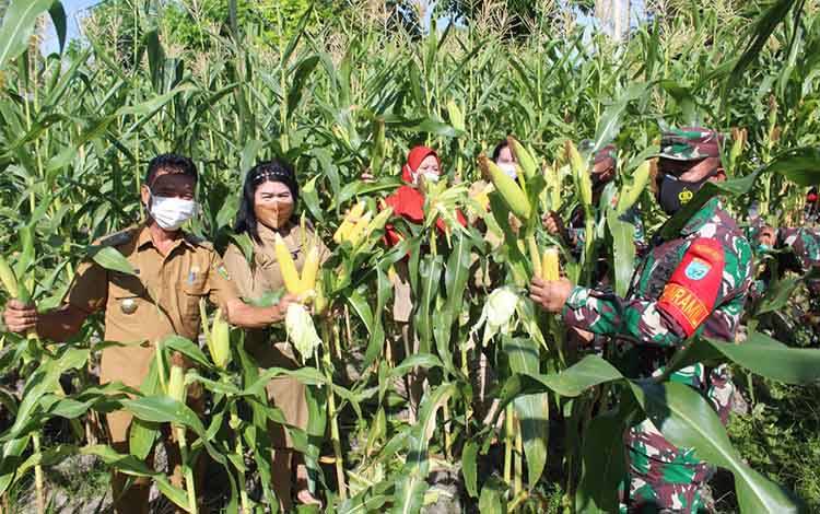 Kelurahan Pahandut dan Kodim 1016 Palangka Raya Bekerjasama Dalam Memanfaatkan Lahan Kosong