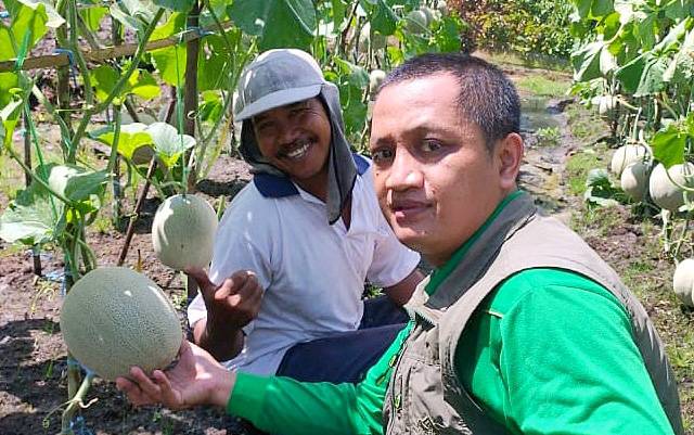 Petani di Paju Epat Belajar Penanganan Hasil Panen yang Baik