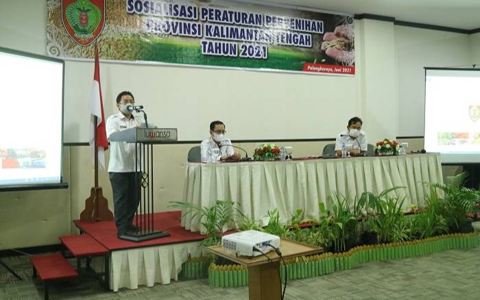 Dinas TPHP Kalteng Sosialisasikan Peraturan Perbenihan Tahun 2021
