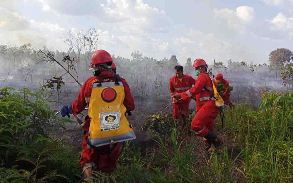 Lahan Ilalang dan Pakis Dekat Bundaran Durian Kasongan Terbakar