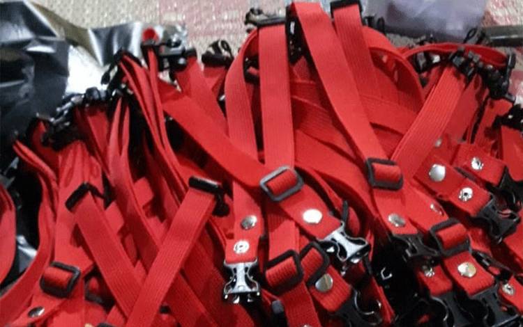 Vaksinator Rabies Terus Bergerilya Memberikan Vaksin pada Hewan Peliharaan