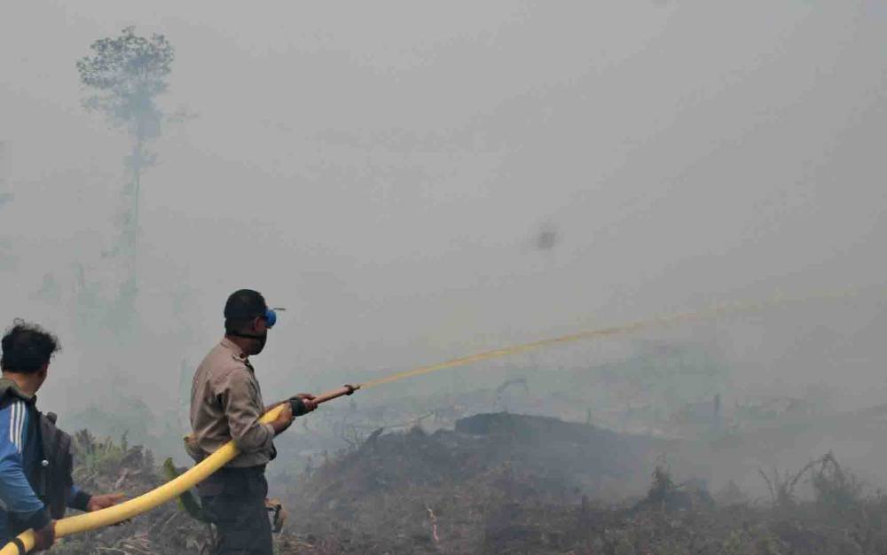KLHK terus Dorong Teknologi Modifikasi Cuaca untuk Pencegahan Karhutla