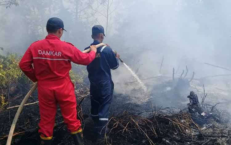 Penting Sosialisasikan Aturan Karhutla Jika Pergub Sudah Dibuat