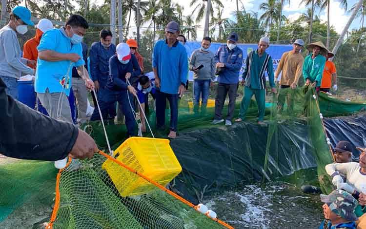 Pemprov Kalteng Kembangkan Program Shrimp Estate