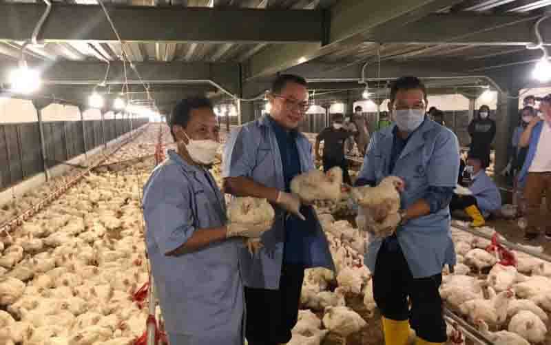 IPB Miliki Percontohan Perternakan Ayam Termodern di Indonesia