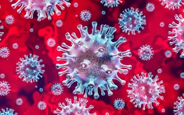 Satgas Covid-19 Kalteng: Masyarakat Jangan Anggap Virus Corona Sebuah Konspirasi
