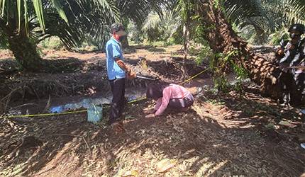 Suami Bunuh Istri: Pelaku Sempat Ikut Mencari Korban Sebelum Diketahui Tewas Terbunuh