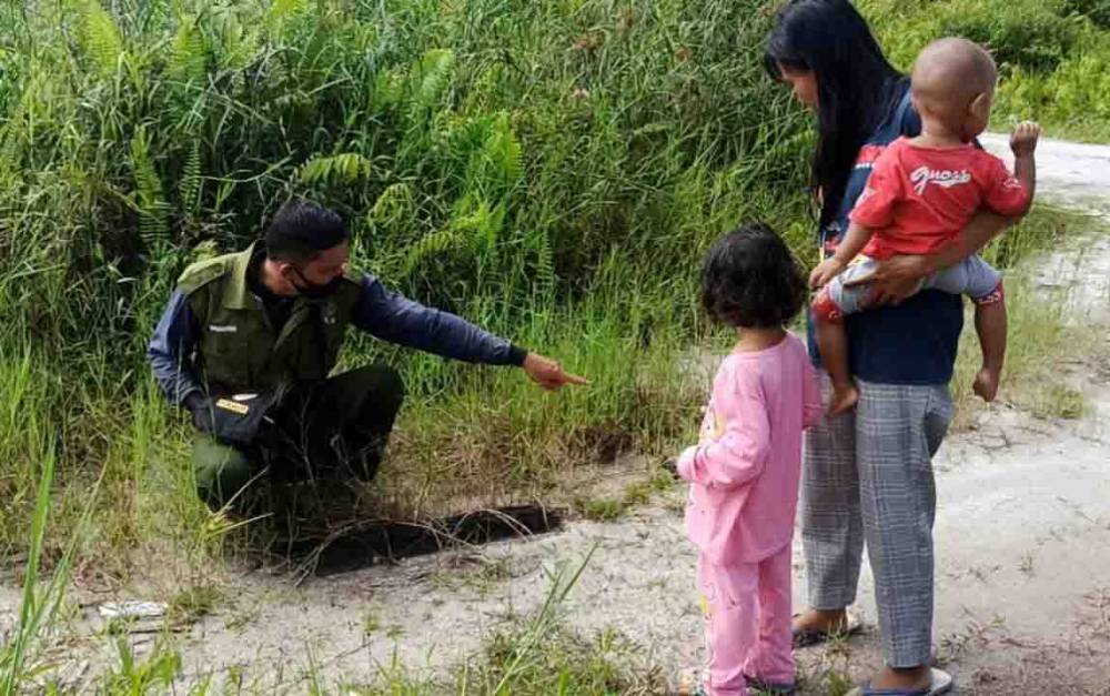 Seekor Berung Madu Terekam CCTV Masuk ke Permukiman Warga Kotim