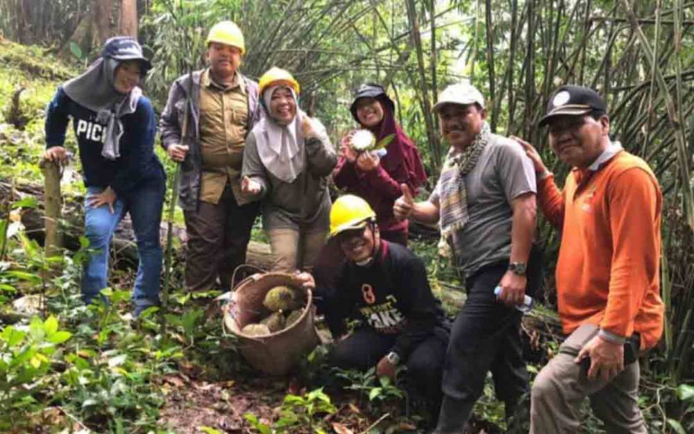 Pemkab Kotawaringin Barat akan Gelar Festival 'Menyandau' Durian
