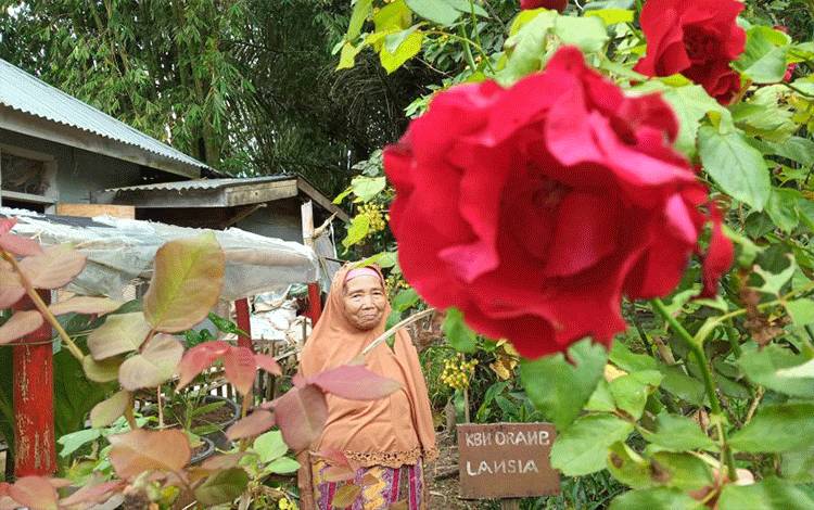 Kisah Lansia yang Tetap Produktif Meski Usia 78 Tahun