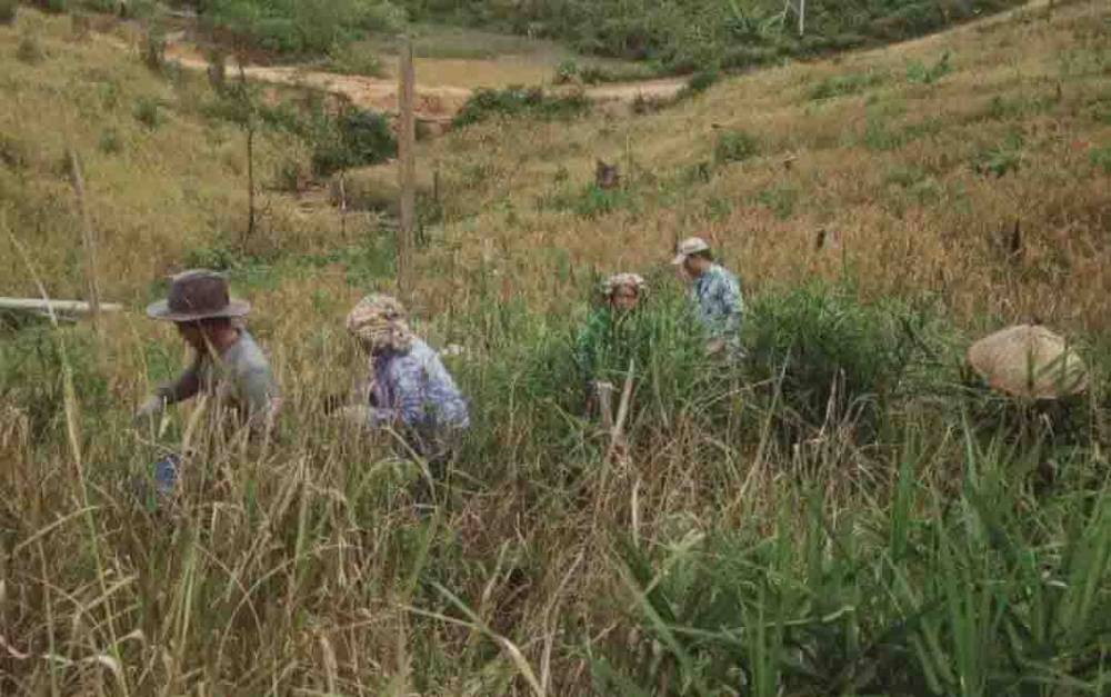 Anggota DPRD Kalteng: Sebut Pengembangan SDM Lokal akan Berdampak Positif Bagi Daerah