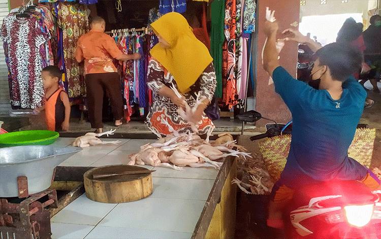 Harga Daging Ayam sampai Ceker-cekernya di Sampit Naik, bahkan di Sejumlah Pasar Kosong