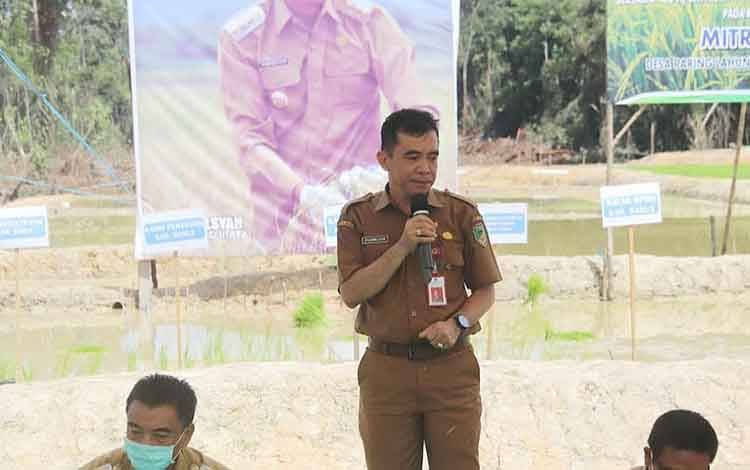 Dinas Pertanian Barito Utara Dukung Sisi Teknis Penanaman Padi