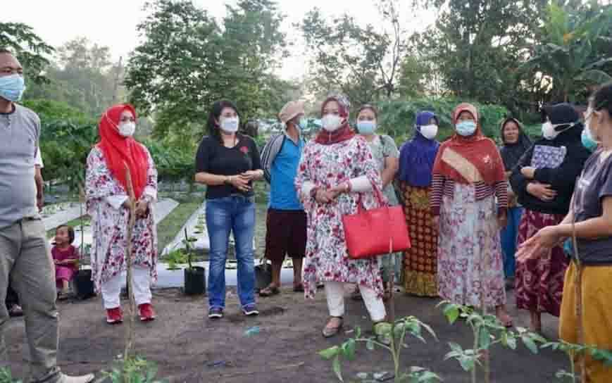 Wakil Wali Kota Palangka Raya Kunjungi Kelompok Wanita Tani
