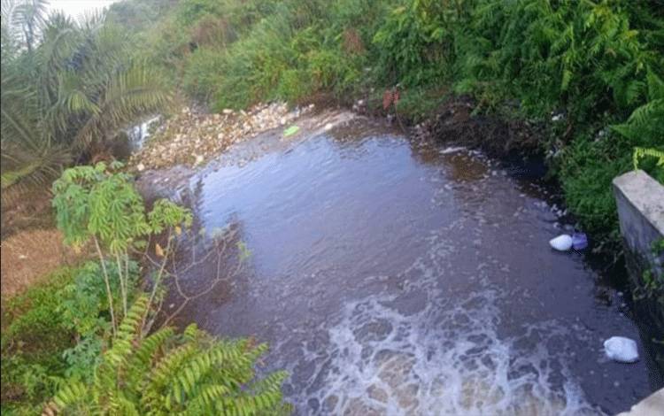 Sampah Kotori Sungai di Jalan Cilik Riwut Pangkalan Bun