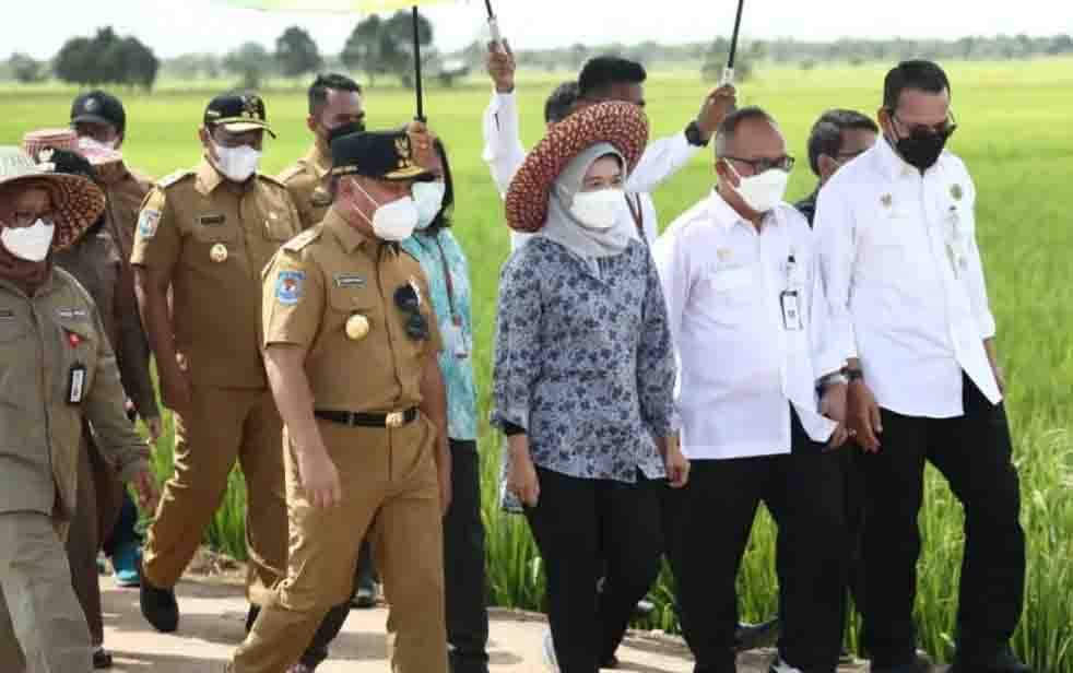 Gubernur Tinjau Infrastruktur Jalan di Desa Belanti Siam Pulpis