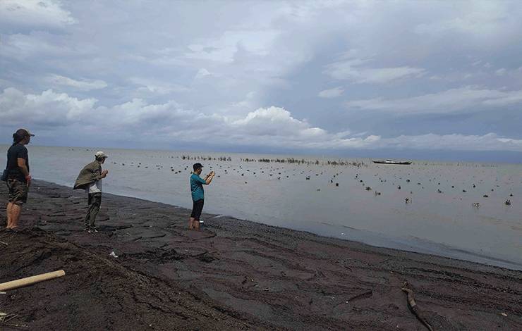 Manfaat Tanaman Mangrove Sudah Mulai Dirasakan Warga Desa Sungai Undang