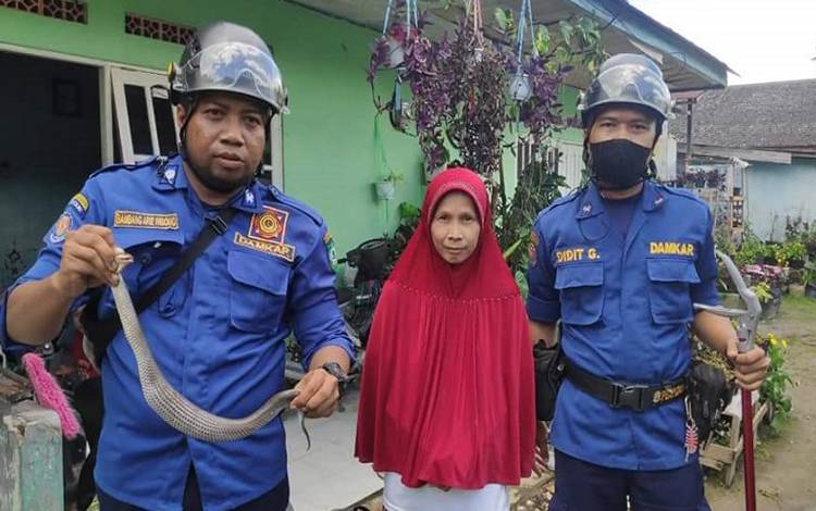 Cucu Teriak Ada Ular saat Bermain di Depan Rumah