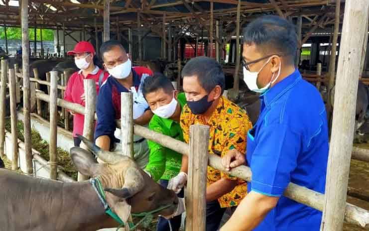 Pemko Palangka Raya Bentuk Tim Pemeriksa Kesehatan Hewan Kurban