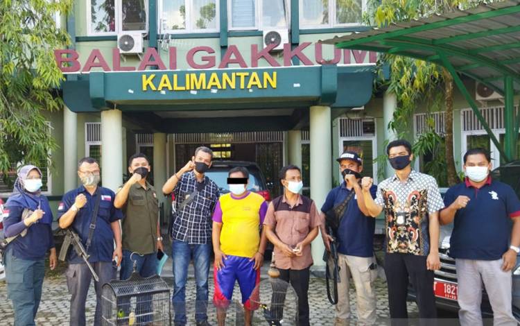 KLHK Selamatkan 597 Burung Dilindungi dari Perdagangan Ilegal
