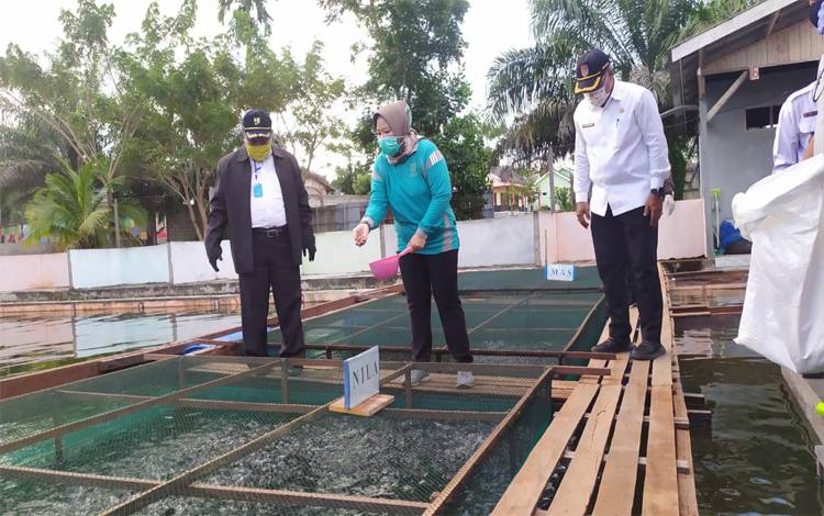 Tingkatkan Produksi Ikan, Pemkab Kobar Terus Kembangkan Ikan Keramba