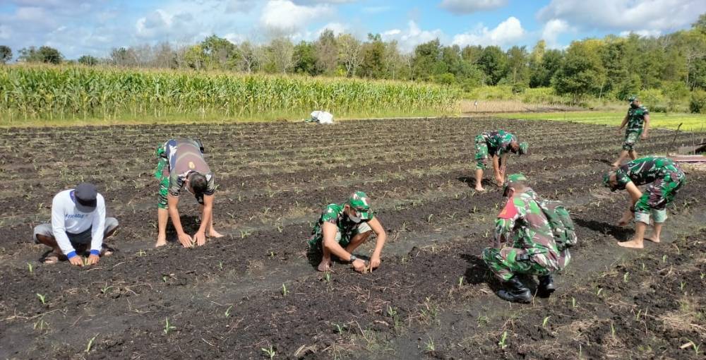 Kodim Palangka Raya Buka Lahan Demplot Tanaman Jagung