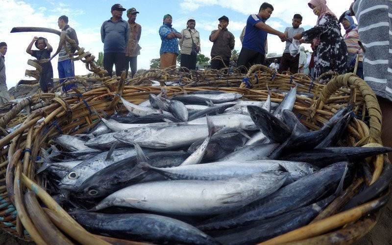 Stok Ikan dan Daging Dipastikan Aman saat PPKM Darurat