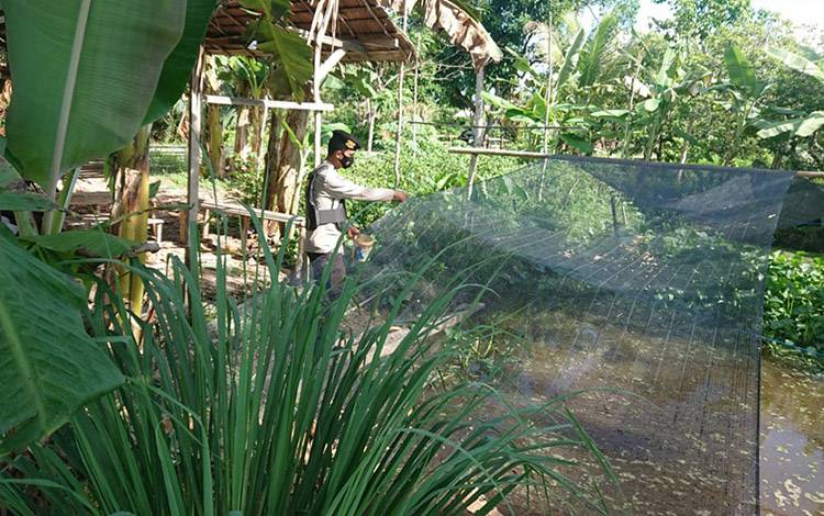 Dukung Ketahanan Pangan, Ini Cara Polsek Pulau Petak