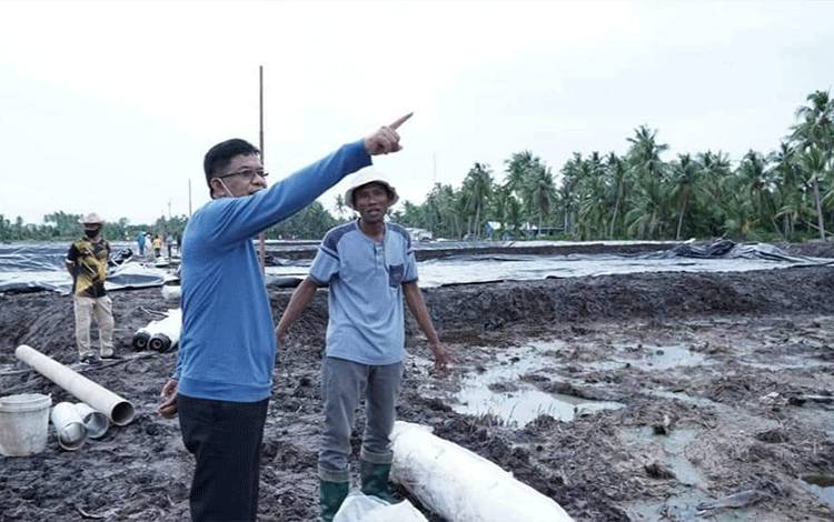 Sukamara Terima Bantuan 1000 Hektare Tambak Pengembangan Budidaya Udang Vaname?