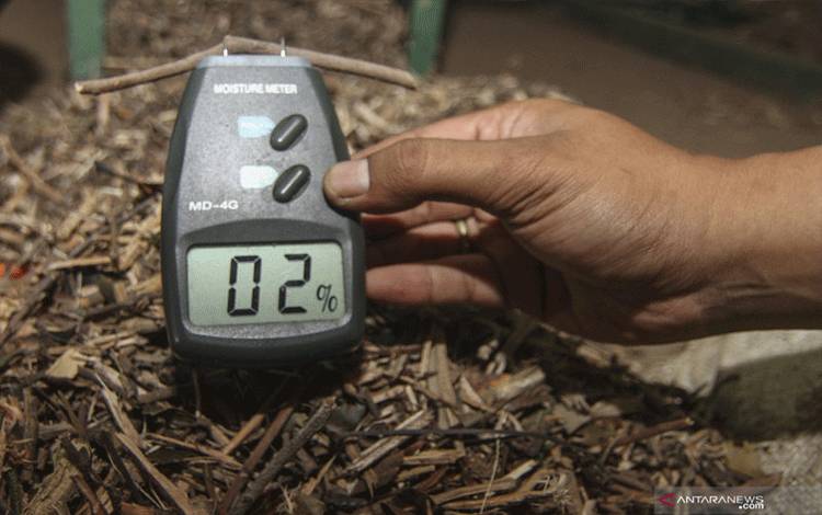 Indonesia Gandeng Jepang Gali Potensi Biomassa Kayu