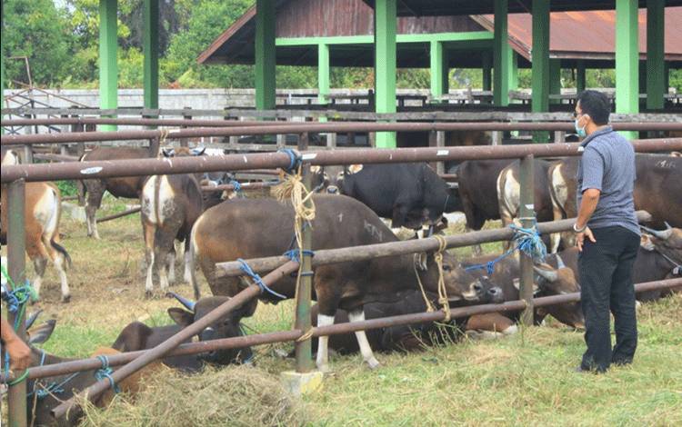Kemenag Keluarkan Acuan Penyelenggaraan Salat Id Idul Adha