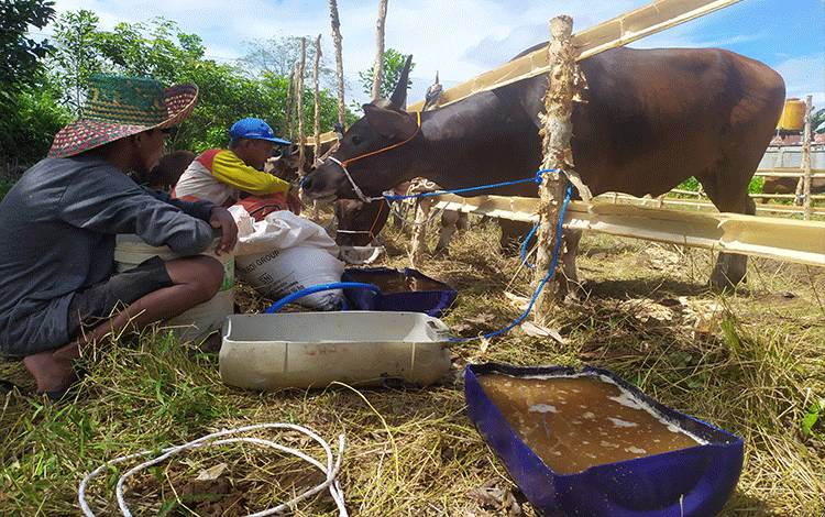 Panitia Dianjurkan Antar Langsung Daging Kurban untuk Warga