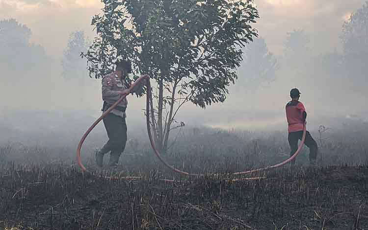 Luasan Lahan Terbakar di Jalan Pramuka Sampit Capai 1 Hektare Lebih