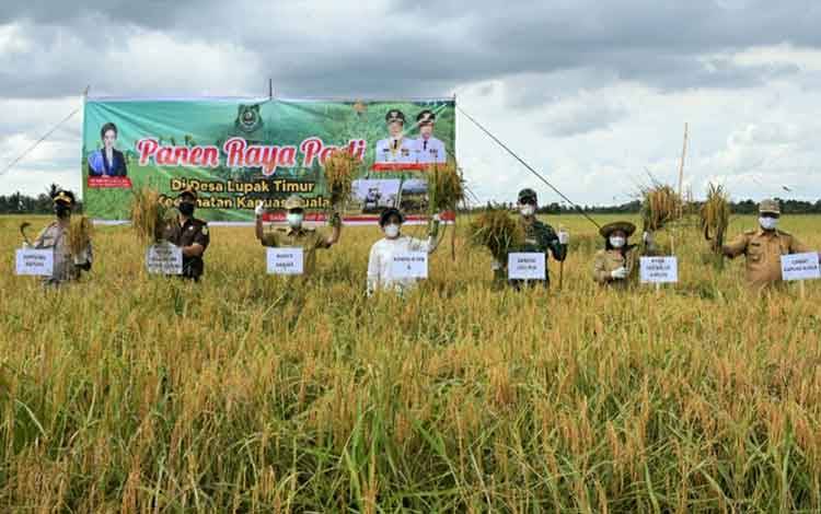 Panen Raya Diharapkan Pacu Semangat Petani Tingkatkan Produksi Padi