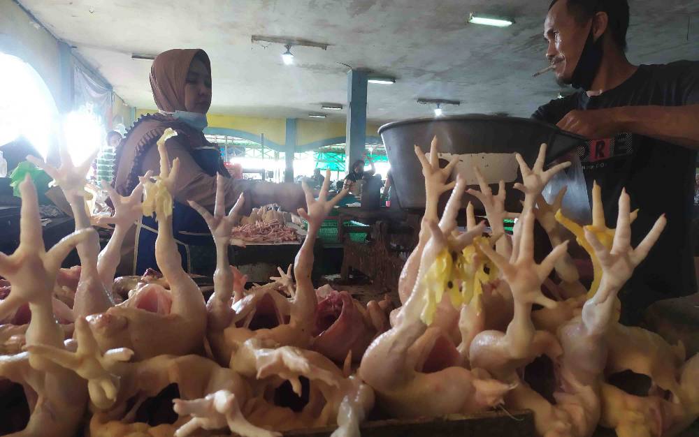 Harga Daging Ayam di Sampit Mendadak Naik