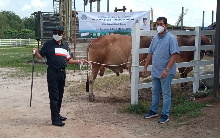 80 Ekor Sapi Kurban Disalurkan Keluarga Besar H Abdul Rasyid AS