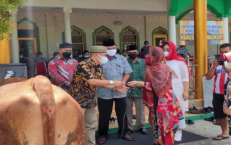 Pemprov Kalteng Salurkan Bantuan 24 Ekor Sapi Kurban ke Pemkab Barito Selatan