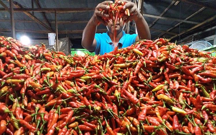 Harga Daging Ayam Ras di Kobar masih Bertahan di Rp43.000, Cabai Berfluktuasi Segini...