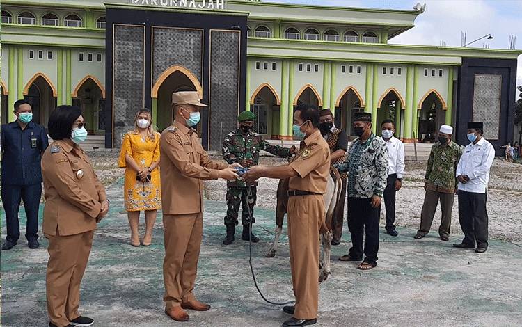 Bupati Gunung Mas Salurkan Bantuan Sapi Kurban