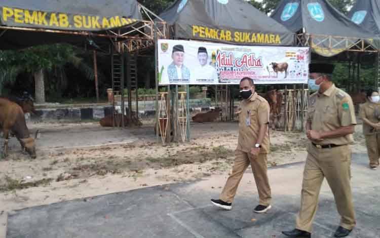 Gubernur Kalteng Serahkan 15 Ekor Sapi Kurban ke Sukamara