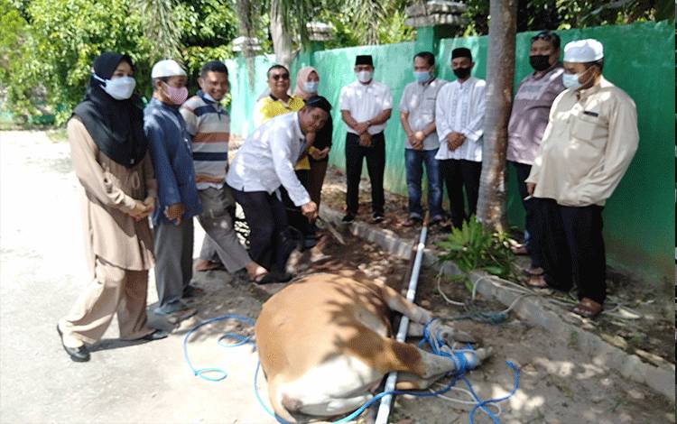 DPRD Katingan Kurban 2 Ekor Sapi