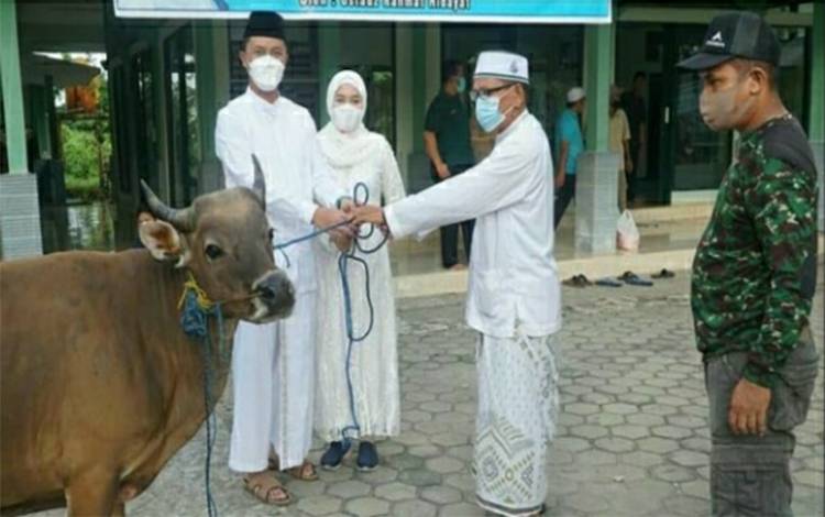 Kodim Kuala Kapuas Sembelih 4 Ekor Hewan Kurban